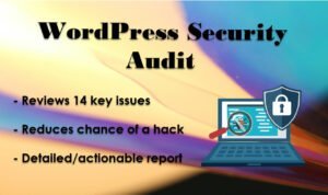 WordPress security audit