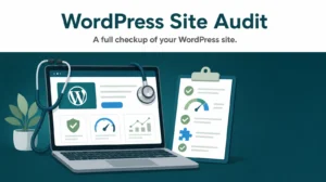 WordPress Site Audit